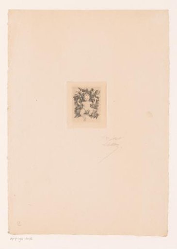 Putto surrounded by grapevines