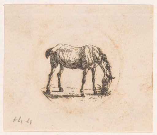 Grazing horse
