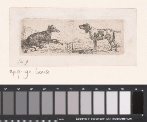 Lying greyhound and standing spaniel