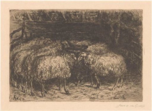 Sheep in a Stable