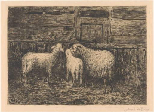 Sheep in a Stable
