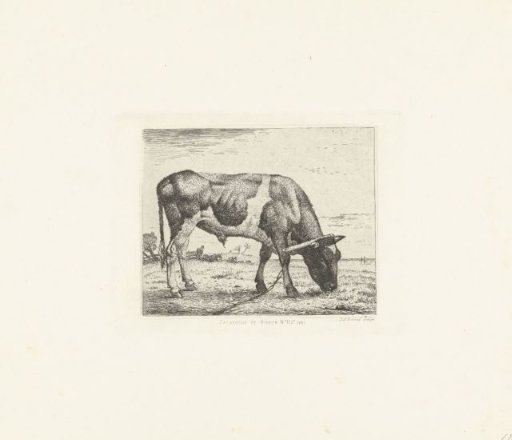 Standing Bull