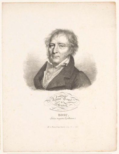 Portrait of the botanist Louis-Augustin Bosc d'Antic