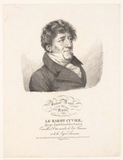 Portrait of the naturalist Georges Cuvier