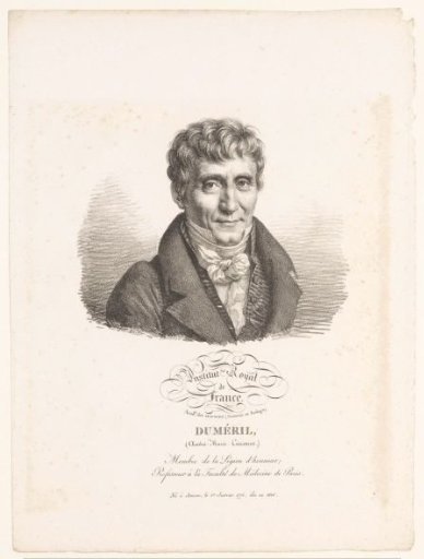 Portrait of the zoologist André Marie Constant Duméril