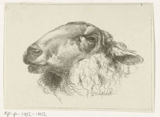 Head of a sheep, facing left