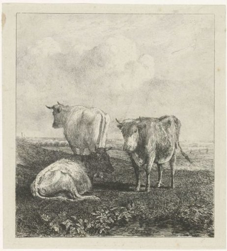 Three Cows in a Meadow