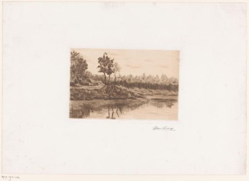 Forest path along the edge of a lake