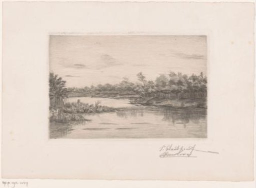 Forest landscape with a lake