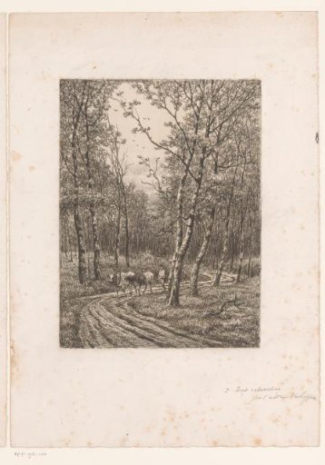 Man with Two Cows on a Forest Path in the Vicinity of Eikevliet