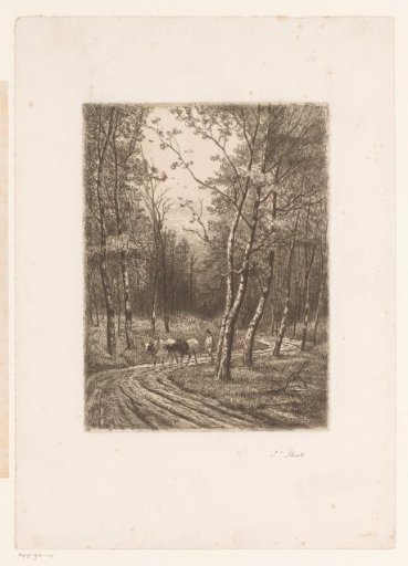 Man with Two Cows on a Forest Path in the Vicinity of Eikevliet