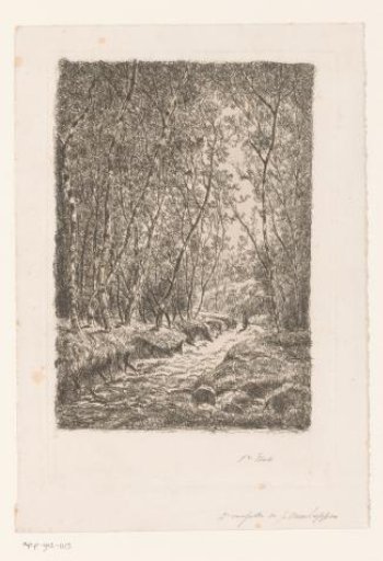 Figure on a Forest Path