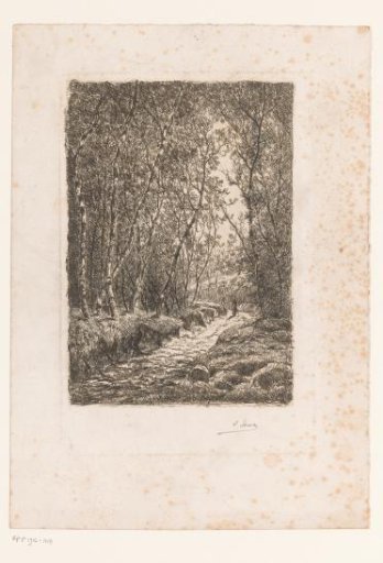 Figure on a Forest Path