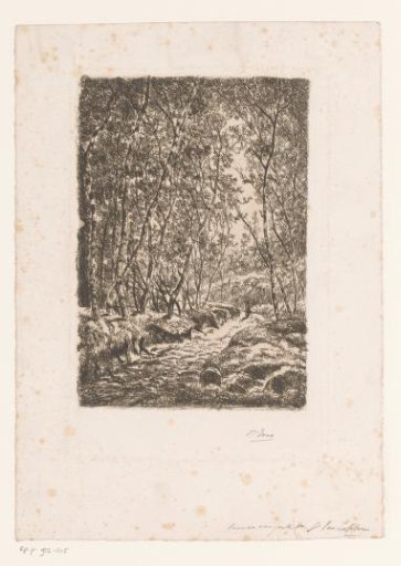 Figure on a Forest Path