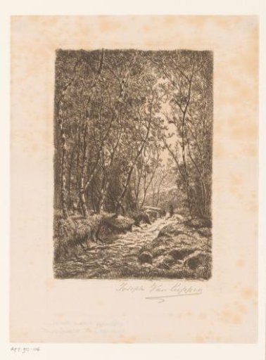 Figure on a Forest Path