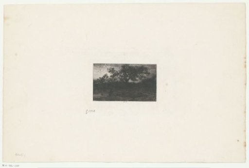 Landscape at sunset