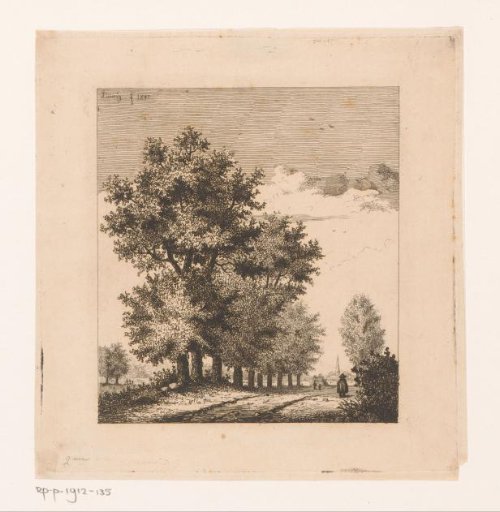 Avenue in the polder near Merksem