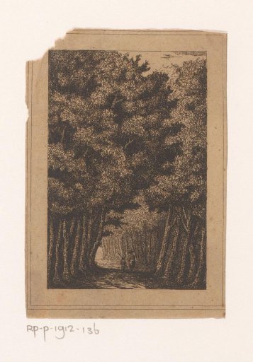 Avenue in the forest at Ekeren