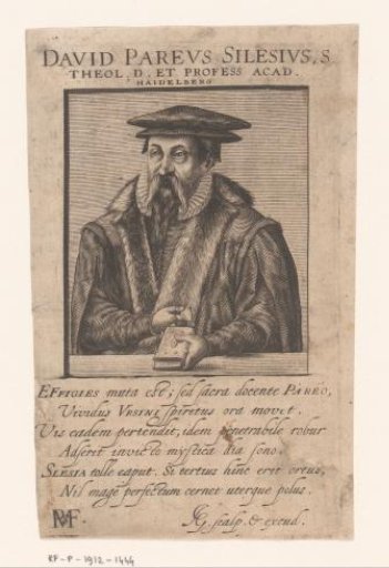 Portrait of David (II) Pareus