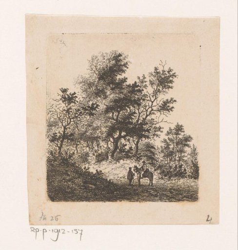 Forest landscape at Beert