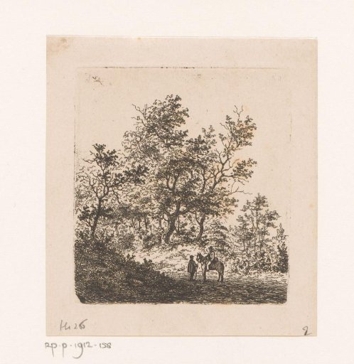 Forest landscape at Beert