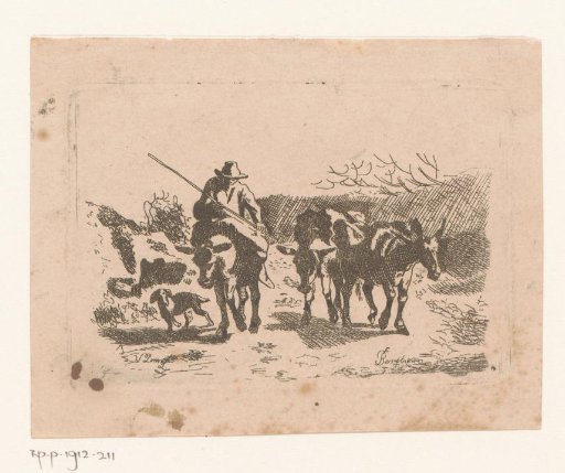 Donkey driver