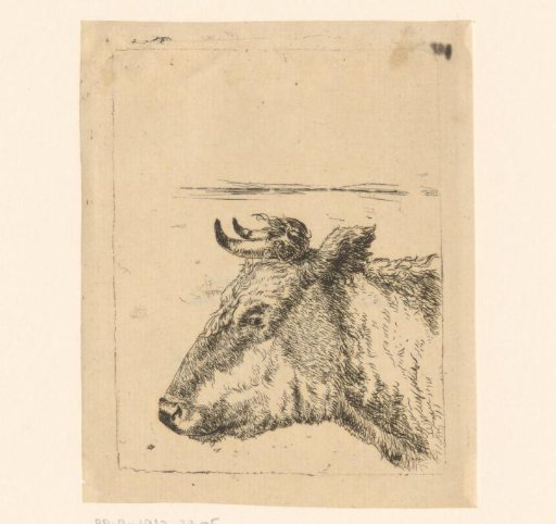 Ox's head