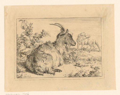 Reclining goat