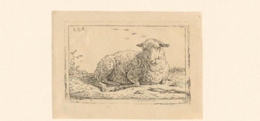 Sheep