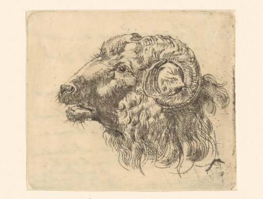 Goat's head