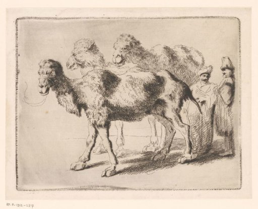 Three camels and two figures