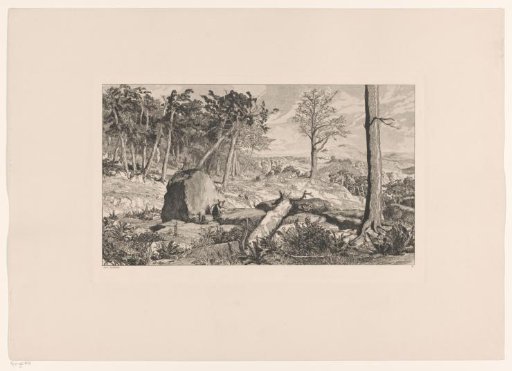 Simplicius alone in nature