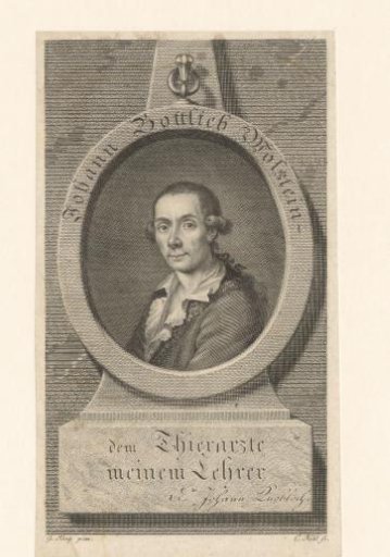 Portrait of Johann Gottlieb Wolstein