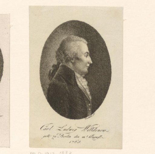 Portrait of Karl Ludwig Willdenow