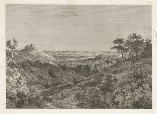 View of a brook valley near Doorwerth