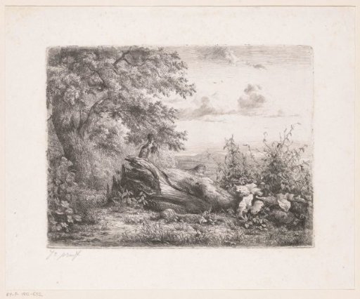 Fallen tree at the edge of the forest