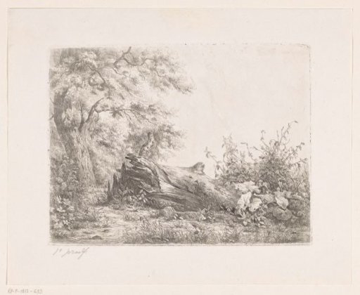 Fallen tree at the edge of the forest