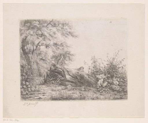 Fallen tree at the edge of the forest