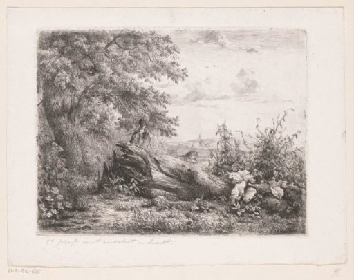 Fallen tree at the edge of the forest