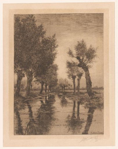 Willows by the water