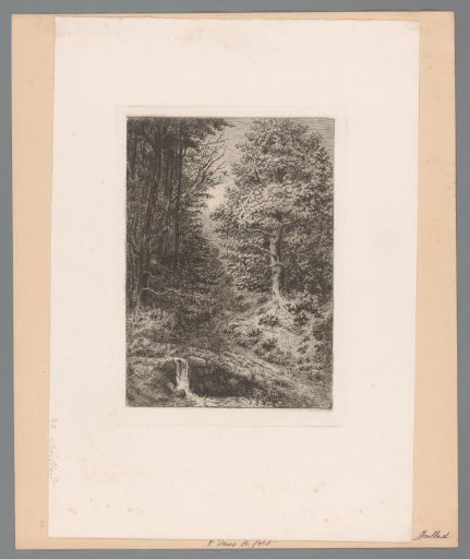 Waterfall along a Forest Path
