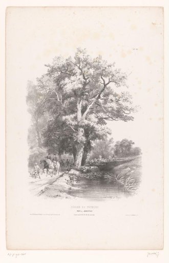 Hunters with dogs along a ditch in a forest
