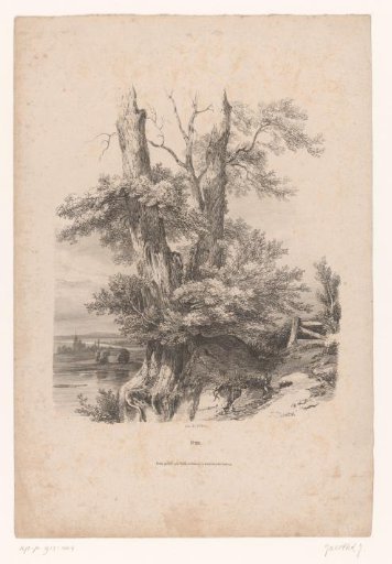 Two trees by a lake