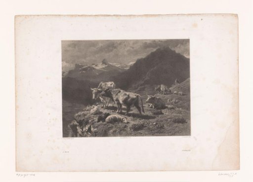 Alpine meadow with cows and sheep