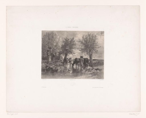 Cows at a watering place among trees