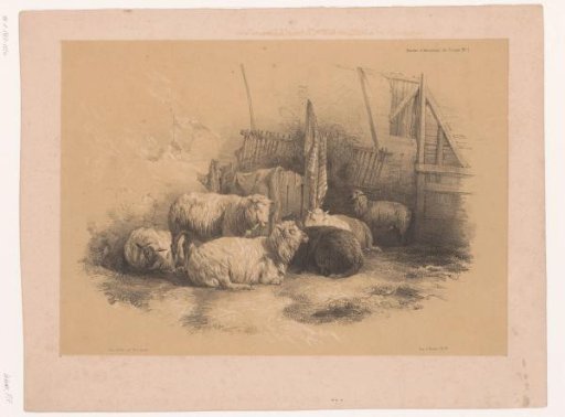 Study of a flock of sheep by a fence