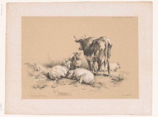 Studies of four sheep and a cow