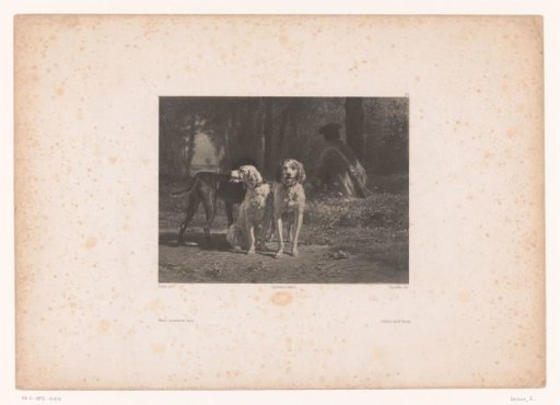 Resting hunter with three hunting dogs