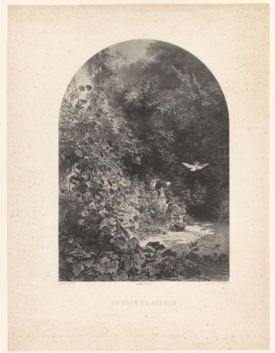 Pigeons in a garden