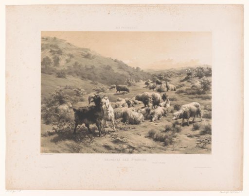 Shepherdess with goats and sheep in the Pyrenees